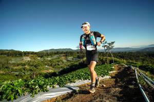 BIB: 9736
                            <button type="button" onclick="openModal(19116990)" class="btn btn-primary btn-sm float-right btn-popup" data-toggle="modal" data-target=".modal-high-quality">
                        <i class="fas fa-shopping-cart"></i> Add to Cart
                    </button>
                                            <button type="button" onclick="isThisMe(19116990, true)" class="btn btn-success btn-sm float-right btn-popup btn-isme hidden" data-toggle="tooltip" data-placement="bottom" title="นี่คือรูปของคุณใช่ไหม คลิกที่นี่เพื่อเอาเข้าอัลบั้ม">
                        <i class="fas fa-plus"></i> Add to album
                    </button>
                    <button type="button" onclick="isThisMe(19116990, false)" class="btn btn-warning btn-sm float-right btn-popup btn-isnotme hidden">
                        <i class="fas fa-ban"></i> Remove from album
                    </button>